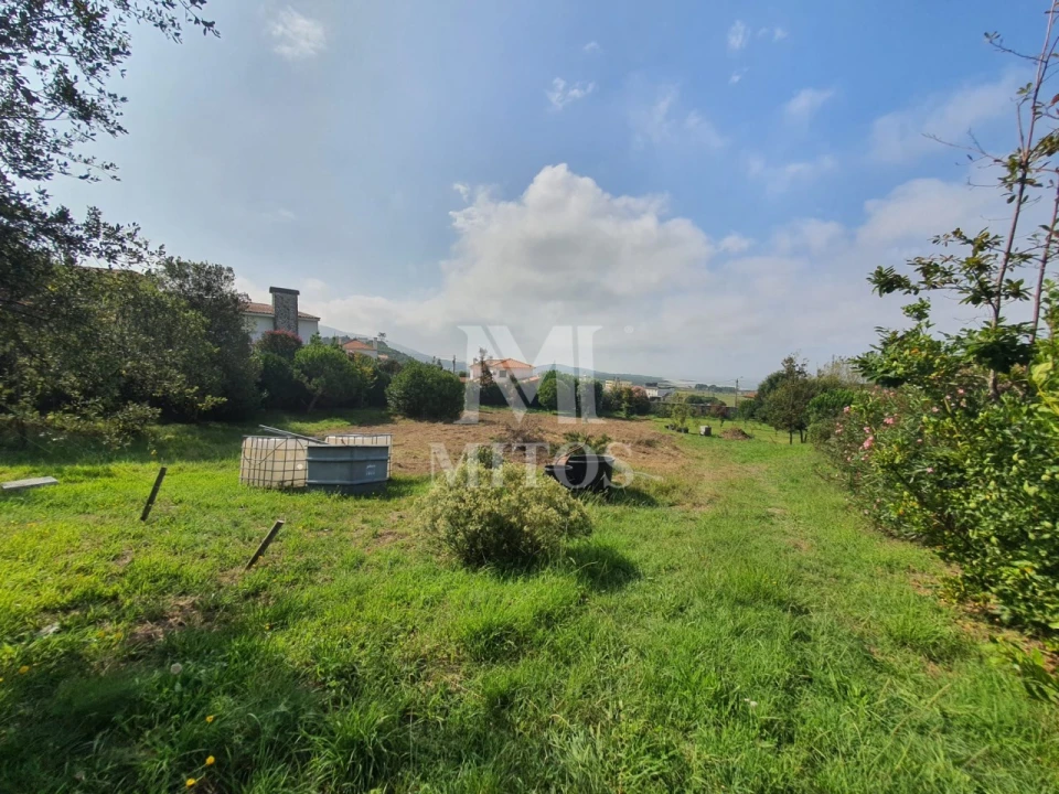 Terreno para Venda em Afife Foto 1