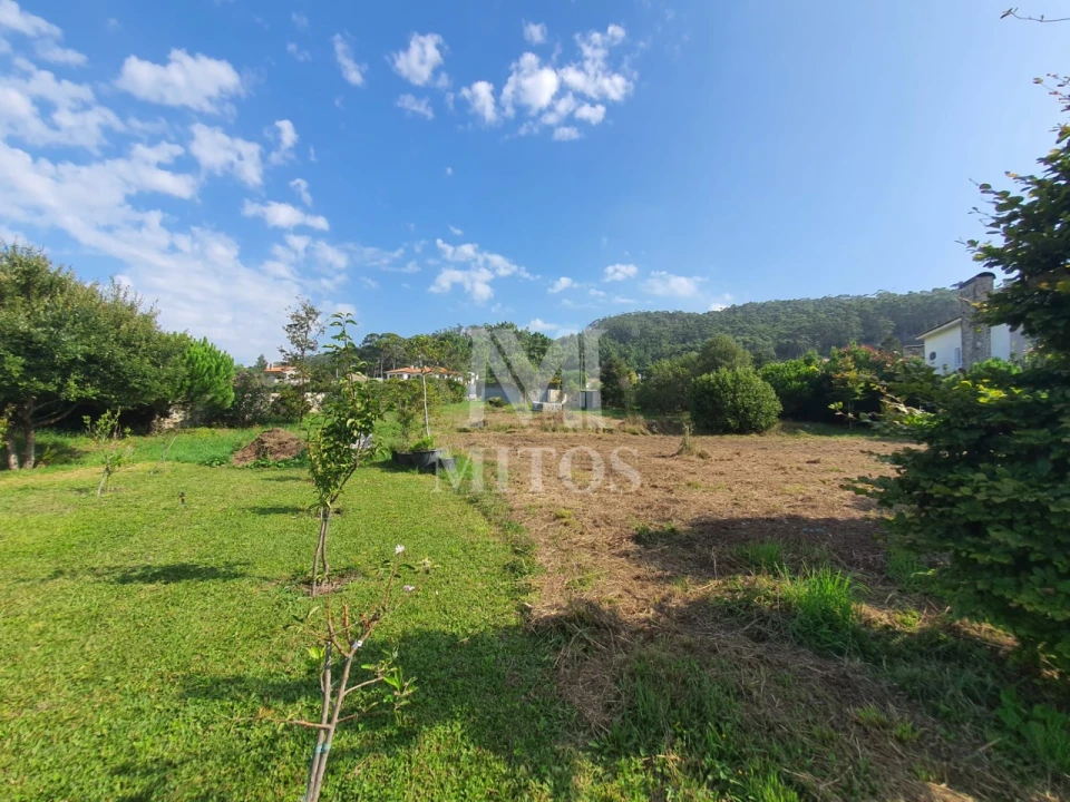 Terreno para Venda em Afife Foto 10