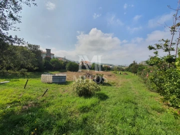 Terreno para Venda em Afife