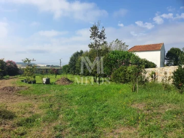 Terreno para Venda em Afife