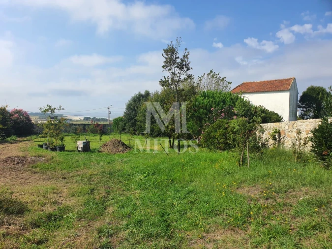 Terreno para Venda em Afife Foto 9