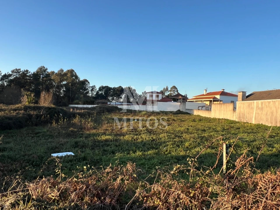 Terreno para Venda em Alvarães Foto 3