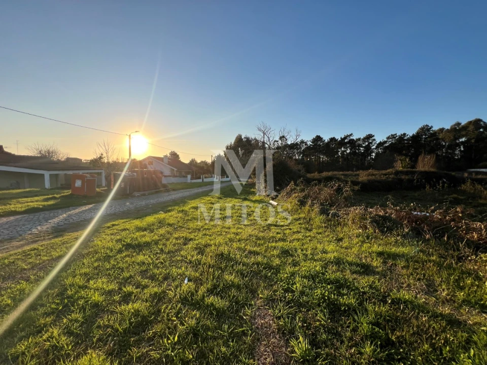 Terreno para Venda em Alvarães Foto 1