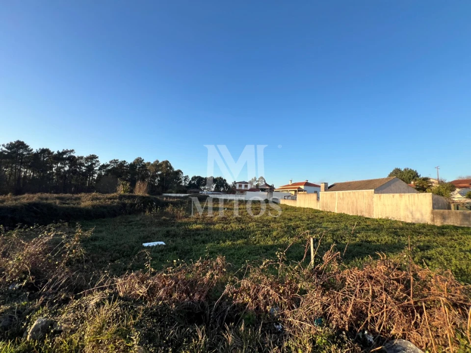 Terreno para Venda em Alvarães Foto 4