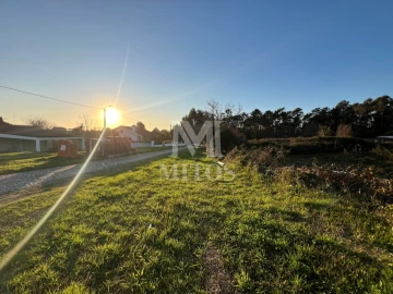 Terreno para Venda em Alvarães