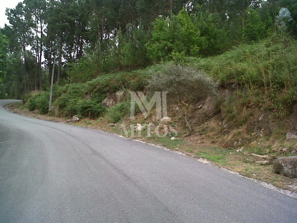 Terreno para Venda em Subportela, Deocriste e Portela Susã Foto 2