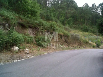 Terreno para Venda em Subportela, Deocriste e Portela Susã
