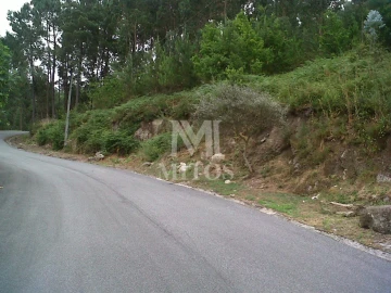 Terreno para Venda em Subportela, Deocriste e Portela Susã
