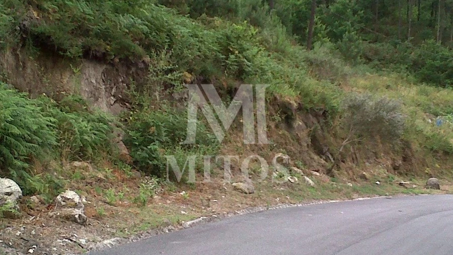 Terreno para Venda em Subportela, Deocriste e Portela Susã