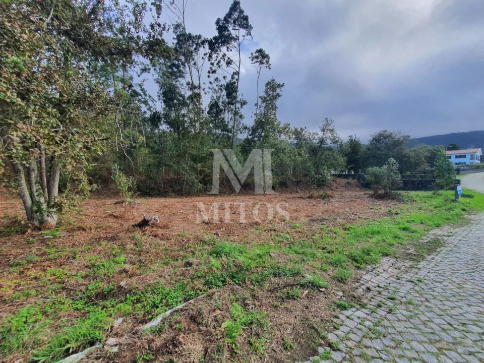 Terreno para Venda em Afife Foto 7