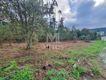 Terreno para Venda em Afife