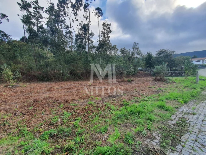 Terreno para Venda em Afife Foto 6