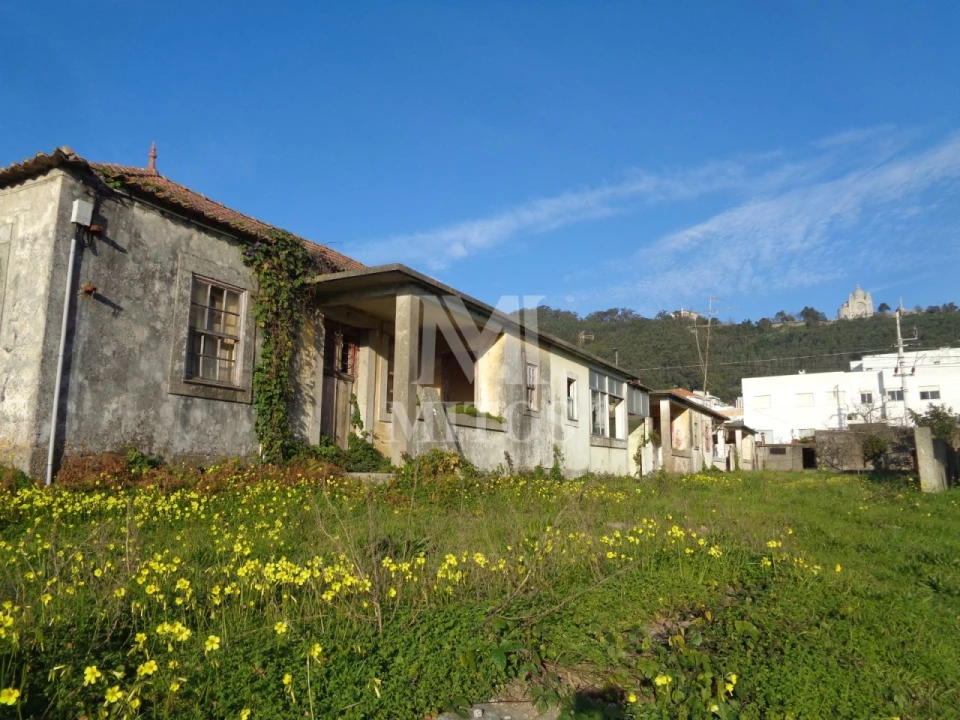 Terreno para Venda em Areosa Foto 4