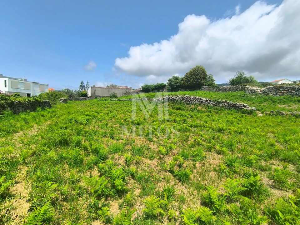 Terreno para Venda em Afife Foto 8