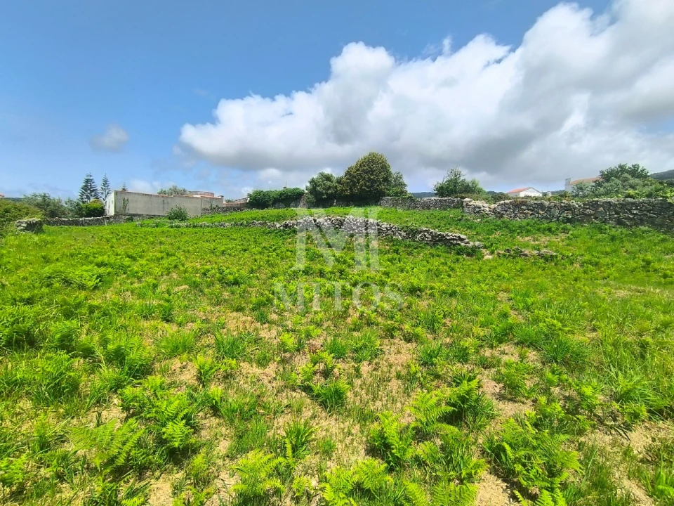 Terreno para Venda em Afife Foto 10