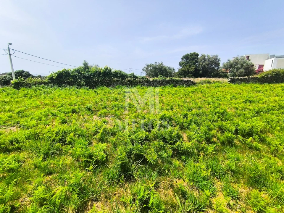 Terreno para Venda em Afife Foto 11