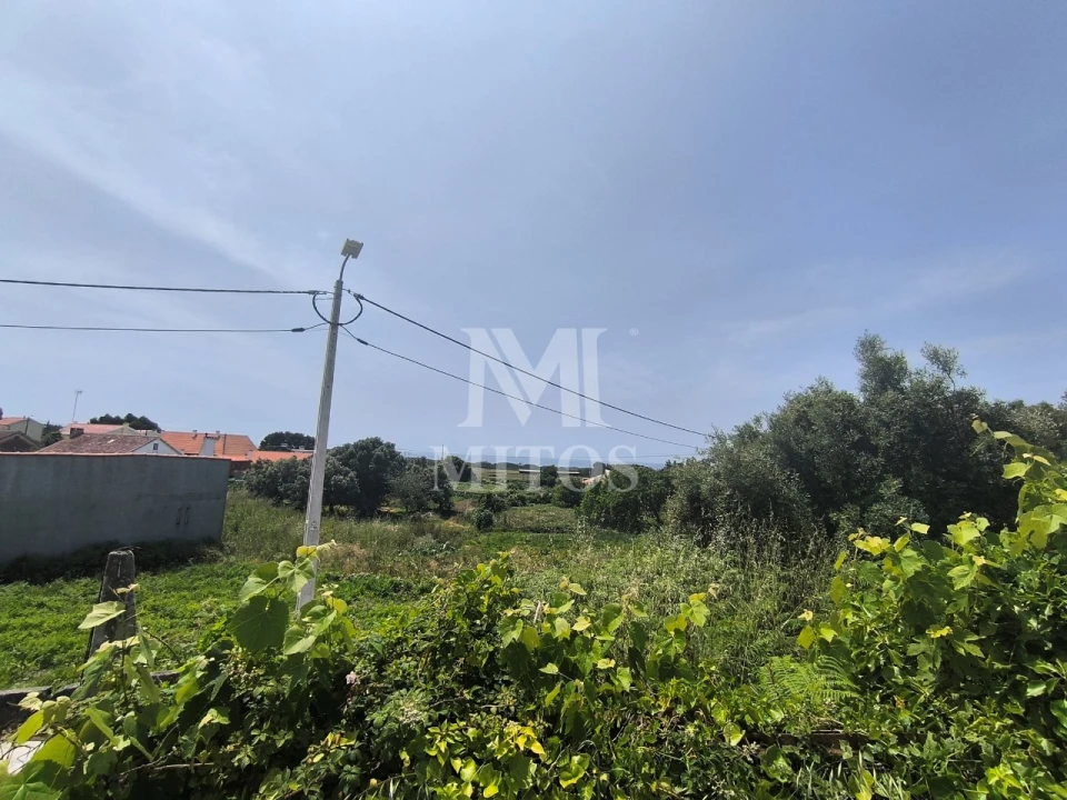 Terreno para Venda em Afife Foto 12
