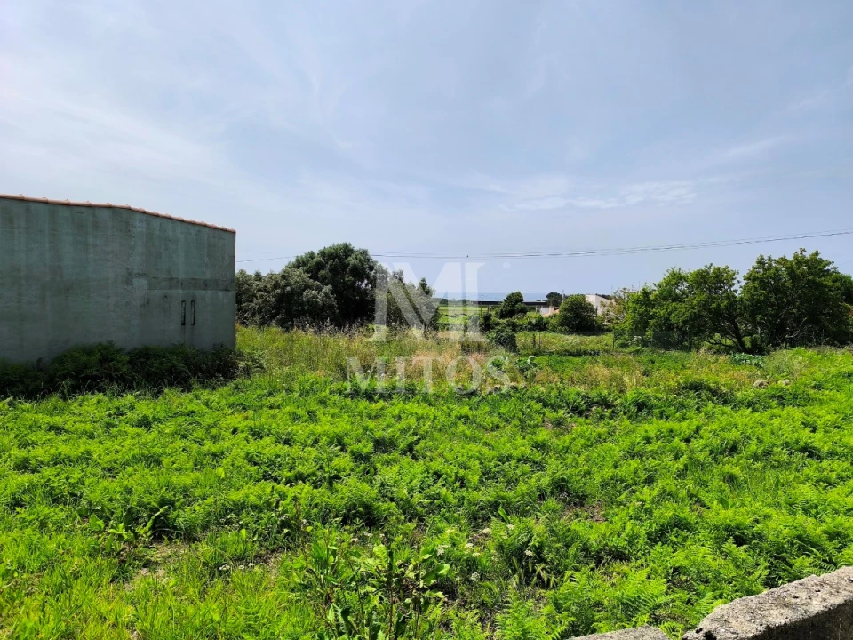 Terreno para Venda em Afife Foto 14