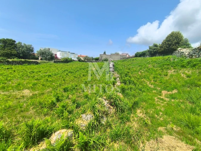 Terreno para Venda em Afife Foto 4