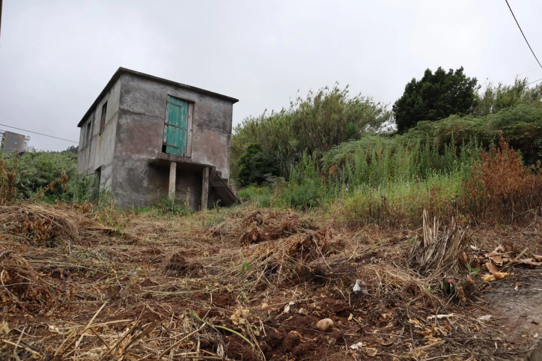 Terreno para Venda em Porto Moniz Foto 3