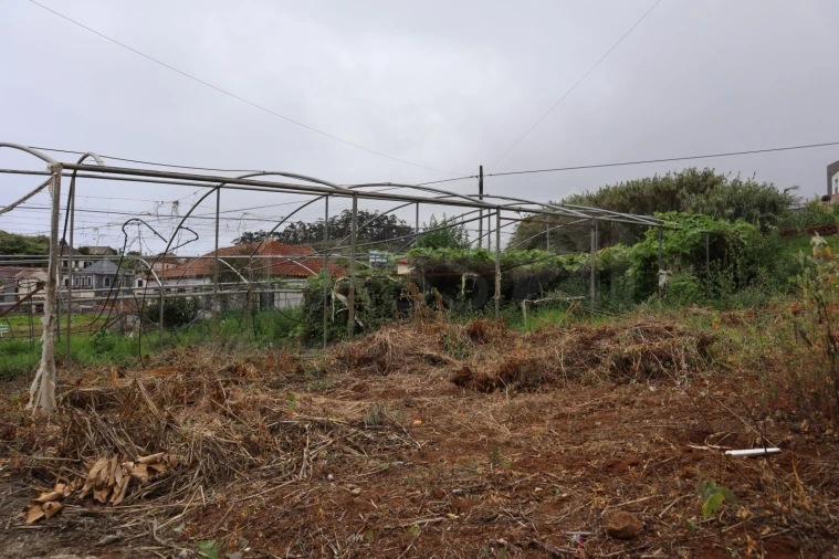 Terreno para Venda em Porto Moniz Foto 5