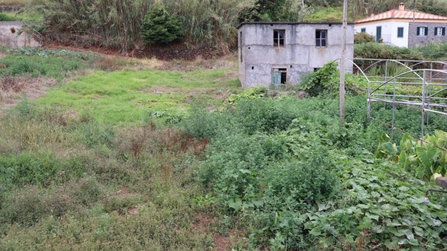 Terreno para Venda em Porto Moniz