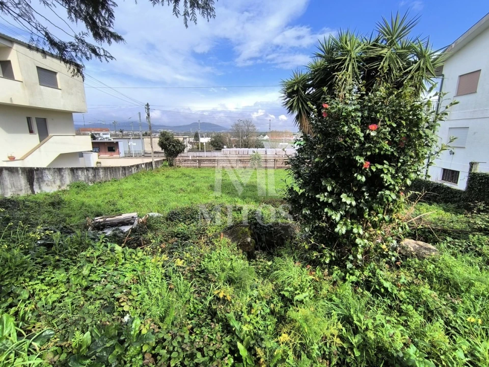 Terreno para Venda em Darque Foto 5
