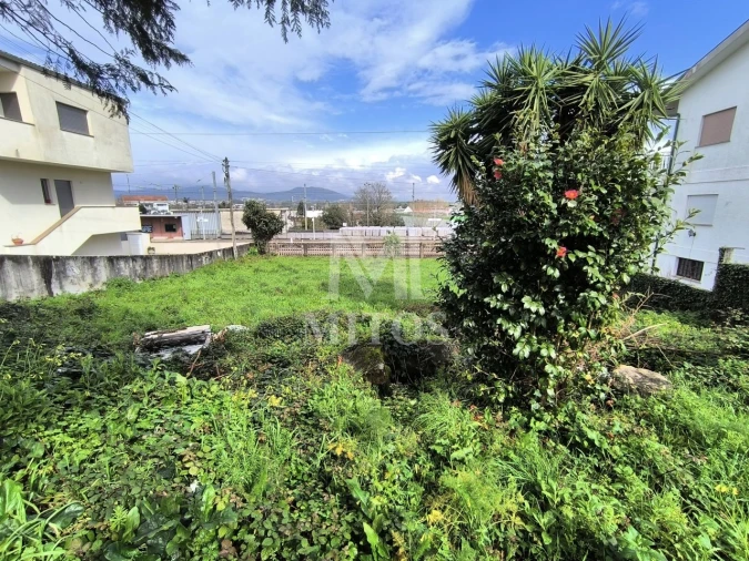Terreno para Venda em Darque Foto 5