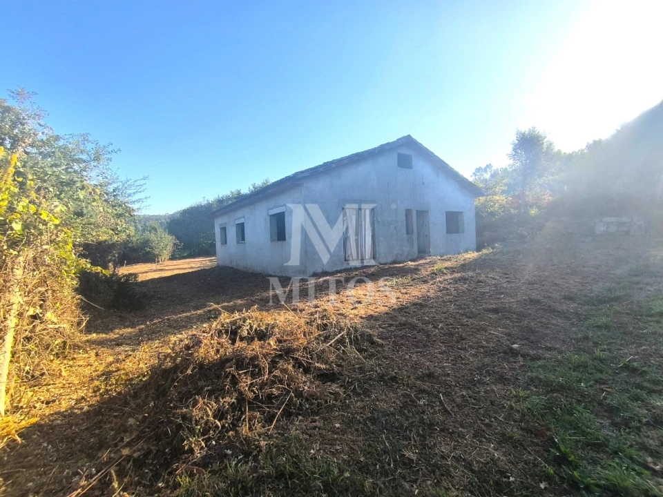 Terreno para Venda em Mujães Foto 2
