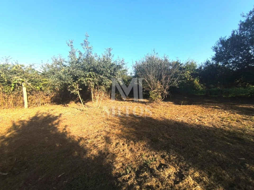 Terreno para Venda em Mujães Foto 5