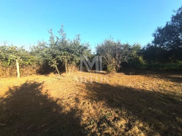 Terreno para Venda em Mujães