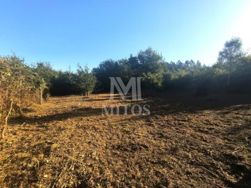 Terreno para Venda em Mujães