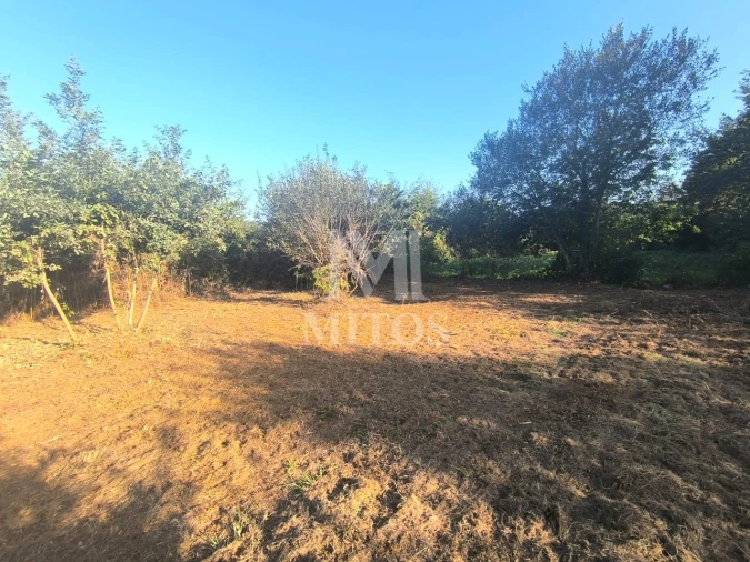 Terreno para Venda em Mujães Foto 4