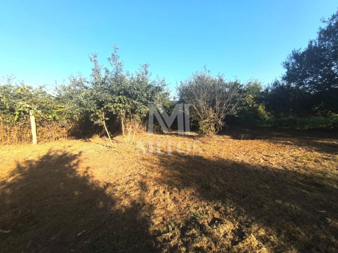 Terreno para Venda em Mujães Foto 5