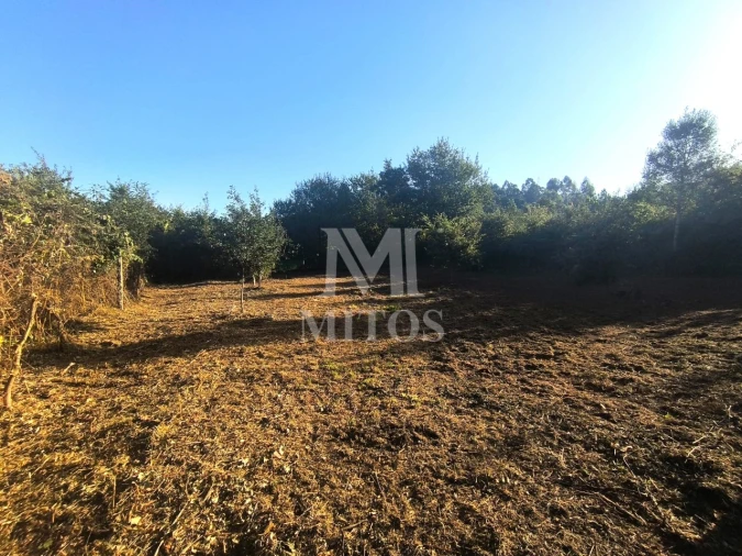 Terreno para Venda em Mujães Foto 6