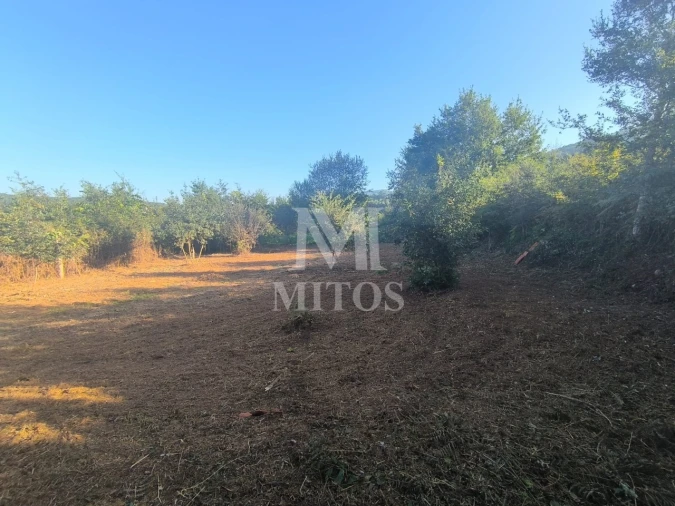 Terreno para Venda em Mujães Foto 22