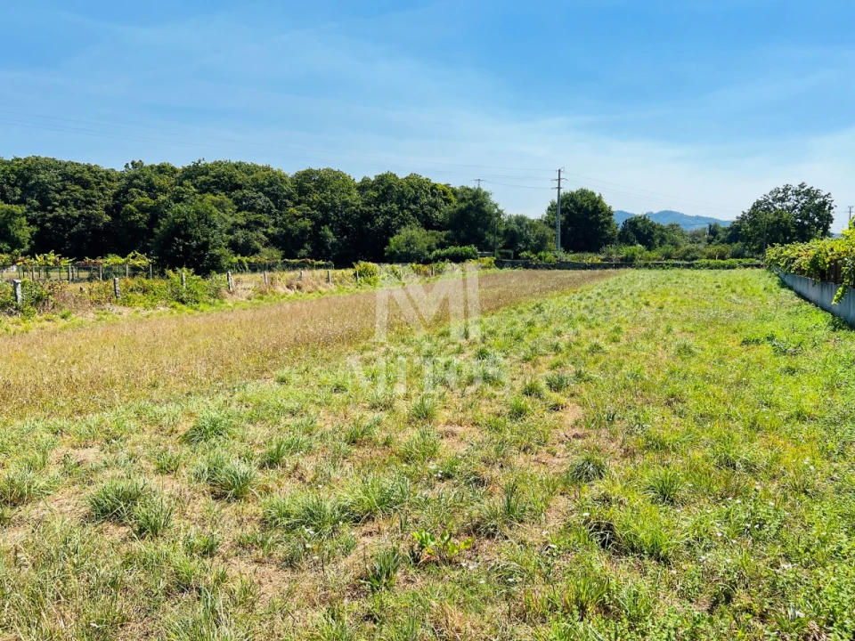Terreno para Venda em Santa Maria Maior e Monserrate e Meadela Foto 6
