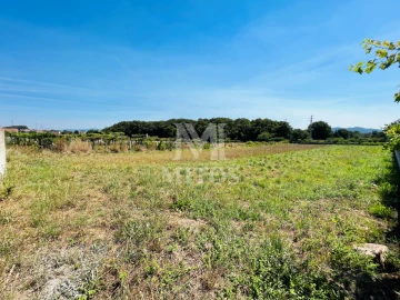 Terreno para Venda em Santa Maria Maior e Monserrate e Meadela