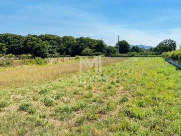 Terreno para Venda em Santa Maria Maior e Monserrate e Meadela