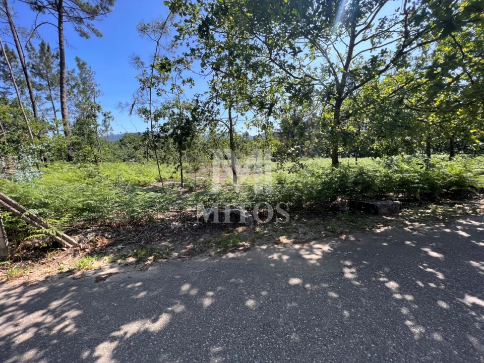 Terreno para Venda em São Pedro da Torre Foto 1