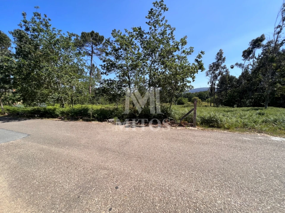 Terreno para Venda em São Pedro da Torre Foto 3