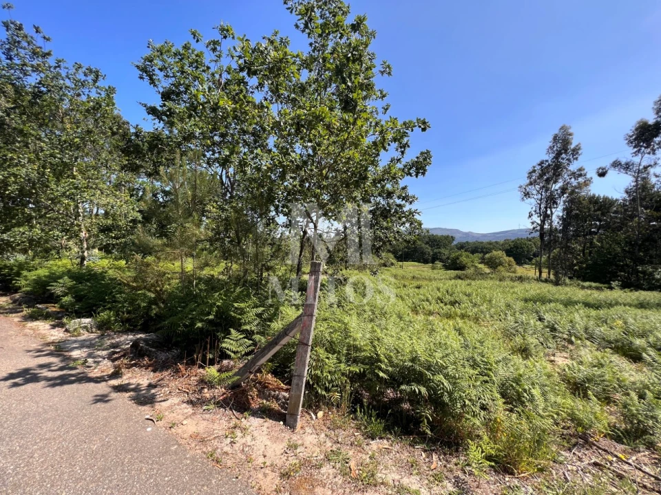 Terreno para Venda em São Pedro da Torre Foto 4