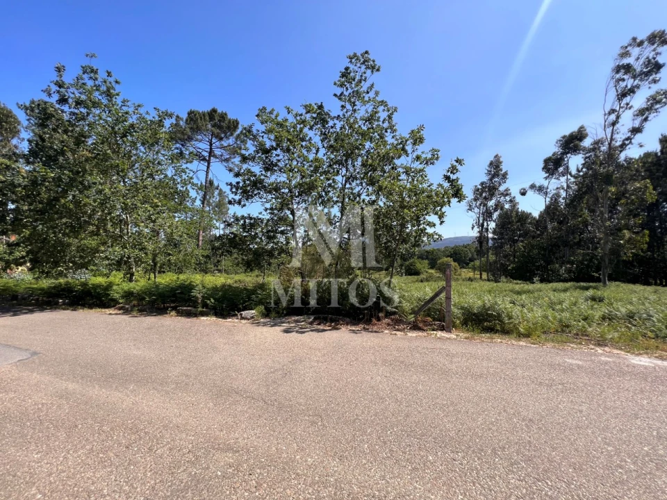Terreno para Venda em São Pedro da Torre Foto 5