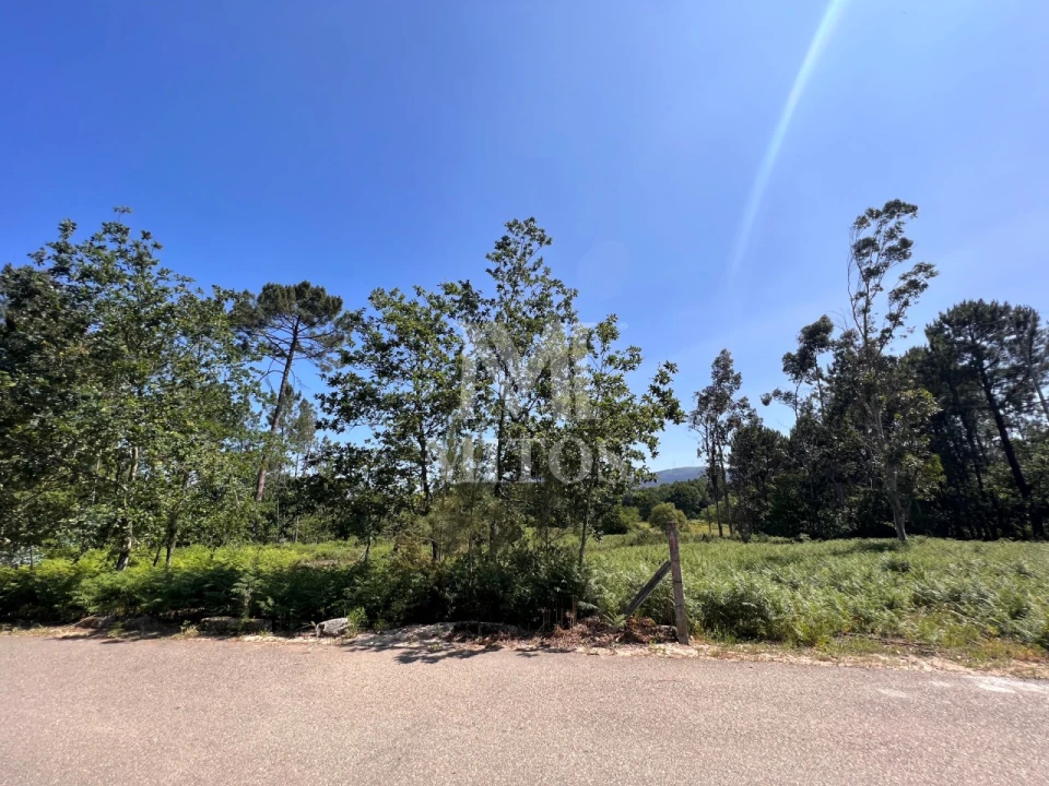 Terreno para Venda em São Pedro da Torre Foto 6