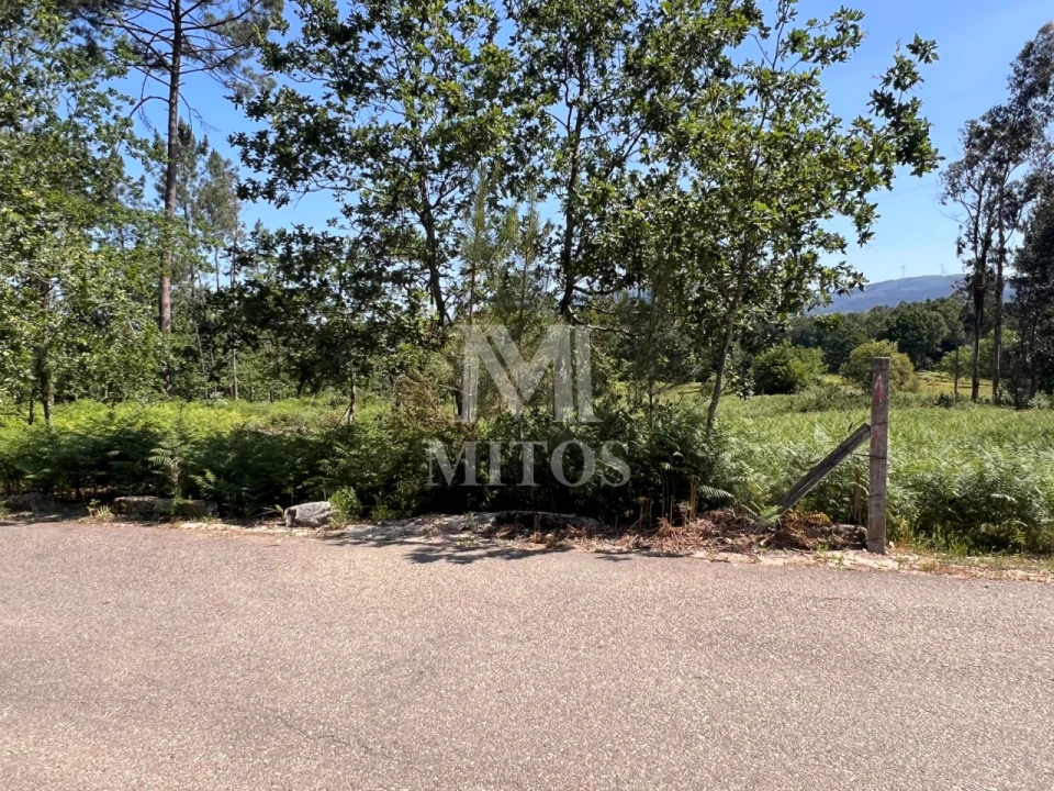 Terreno para Venda em São Pedro da Torre Foto 7