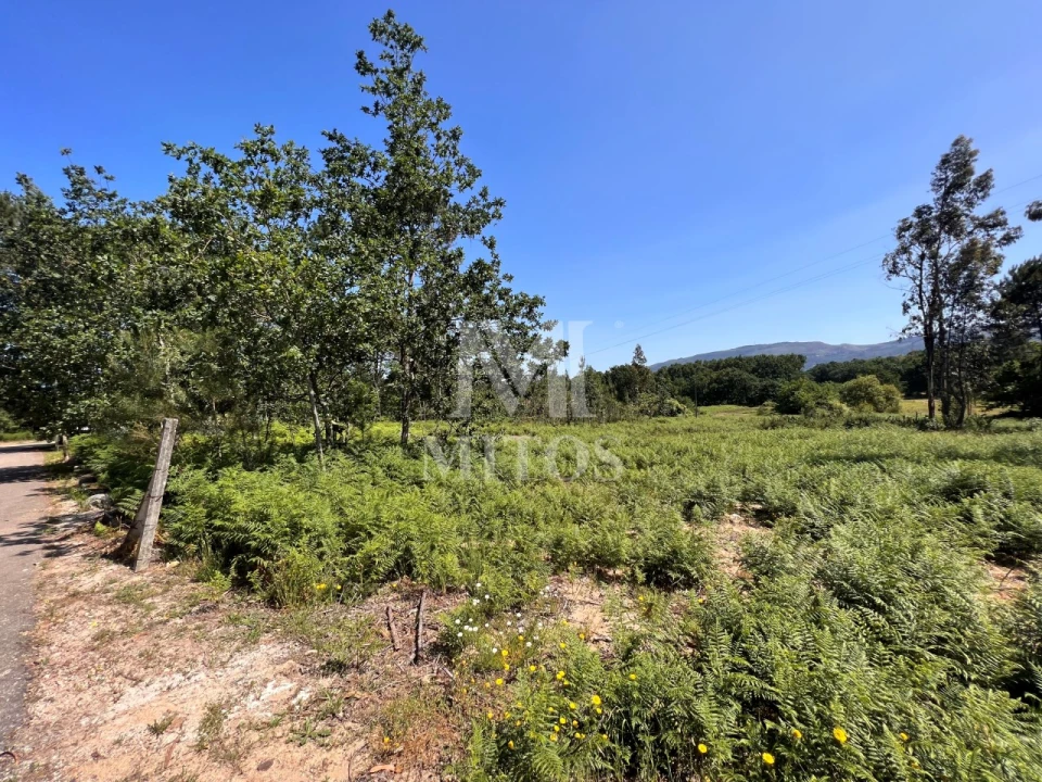 Terreno para Venda em São Pedro da Torre Foto 8