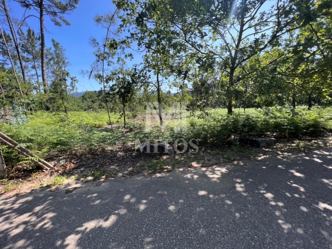 Terreno para Venda em São Pedro da Torre