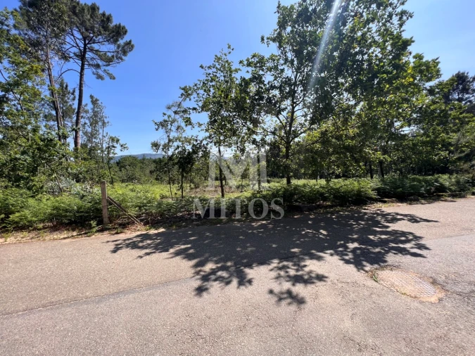 Terreno para Venda em São Pedro da Torre Foto 2