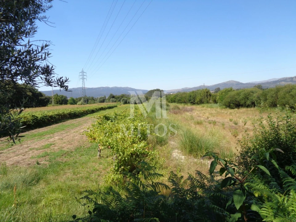 Terreno para Venda em Mazarefes e Vila Fria Foto 3