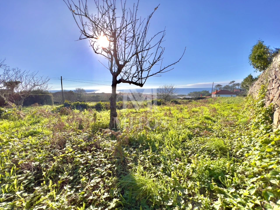 Terreno para Venda em Carreço Foto 2